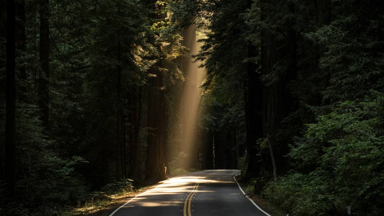 Discipleship Through the Tough Times