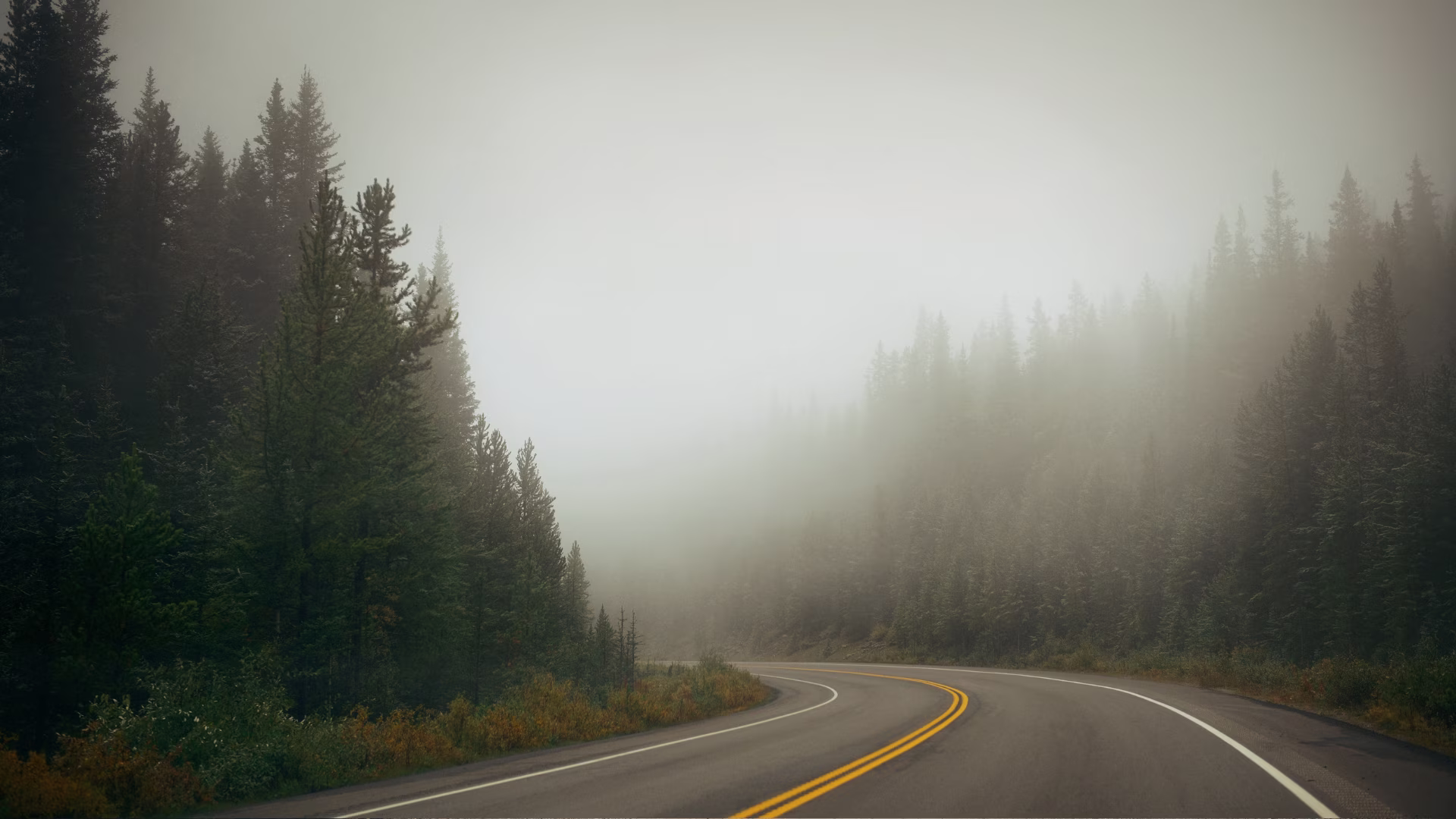 Grief: One of the Most Dreaded Human Experiences