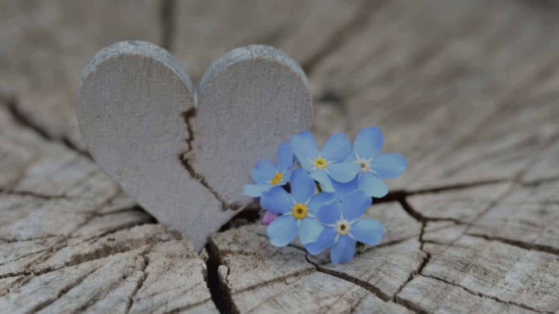 Trauma-Informed Discipleship